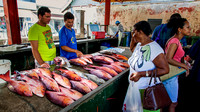 Seychellen Mahe Victoria Market Fish I