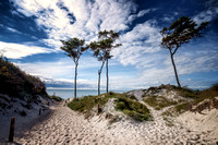 Baltic Sea Beach IV