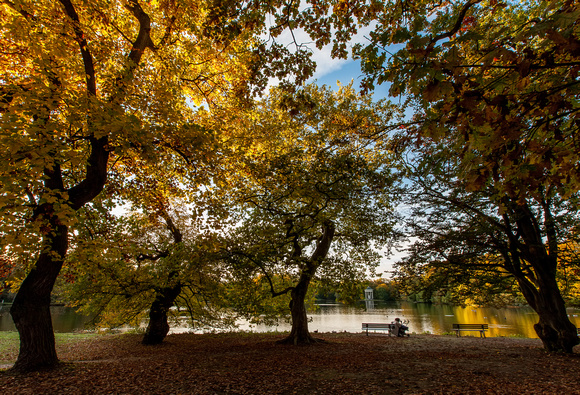 Nymphenburger Park Herbst Abendstimmung Blick ueber grossen See auf Monopteros