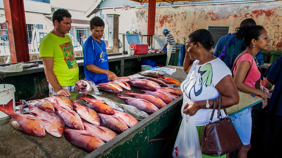 Seychellen Mahe Victoria Market Fish I
