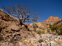 Namib Naukluft National Park I