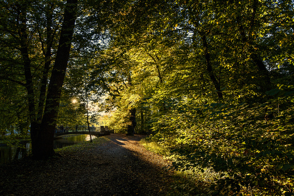 Nymphenburger Park Herbst Abendstimmung tiefstehende Sonne