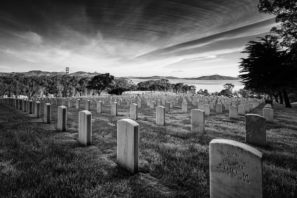Presidio - National Cemetery b/w