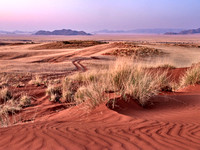 Red Dunes near Naukluft Mountains I